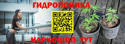 ешки Краснознаменск