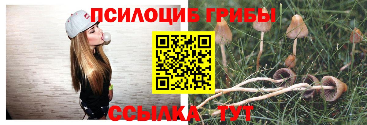 купить наркоту  Псилоцибиновые грибы Psilocybe  Галлюциногенные грибы Magic Shrooms  Вход с VPN  Киселёвск 